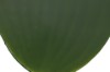 Picture of 394-005 Artificial Purple Orchid Plant - H50cm