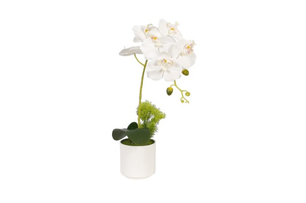 Picture of 394-006 Artificial White Orchid Plant - H50cm