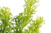 Picture of 394-006 Artificial White Orchid Plant - H50cm