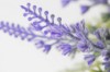 Picture of 394-007 Artificial Lavender Plant - H19cm
