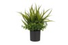 Picture of 394-008 Artificial Green Plant - H25cm