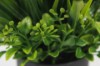 Picture of 394-008 Artificial Green Plant - H25cm