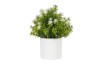 Picture of 394-009 Artificial Green Plant - H20cm